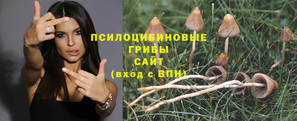 тгк Баксан